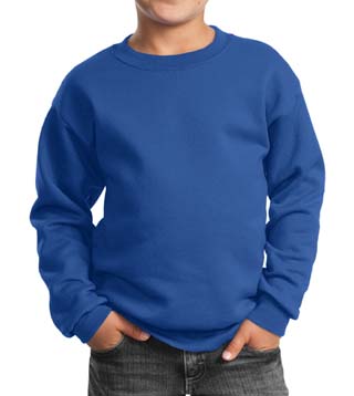 Youth Crewneck Sweatshirt